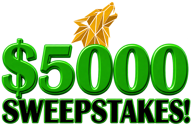$5,000 Sweepstakes